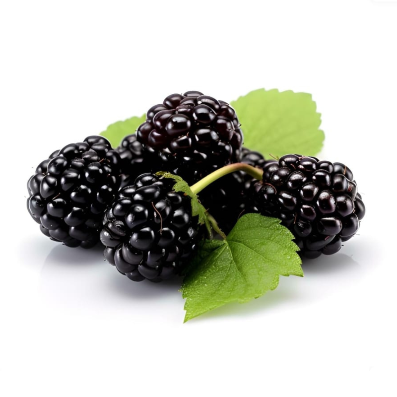 Blackberry