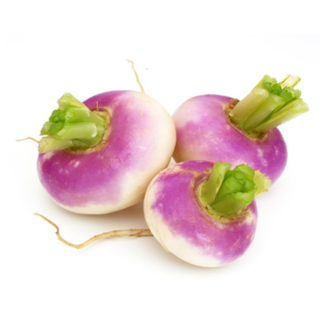 Turnip