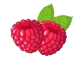 framboise-removebg-preview.png