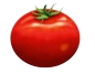 tomate-removebg-preview.png