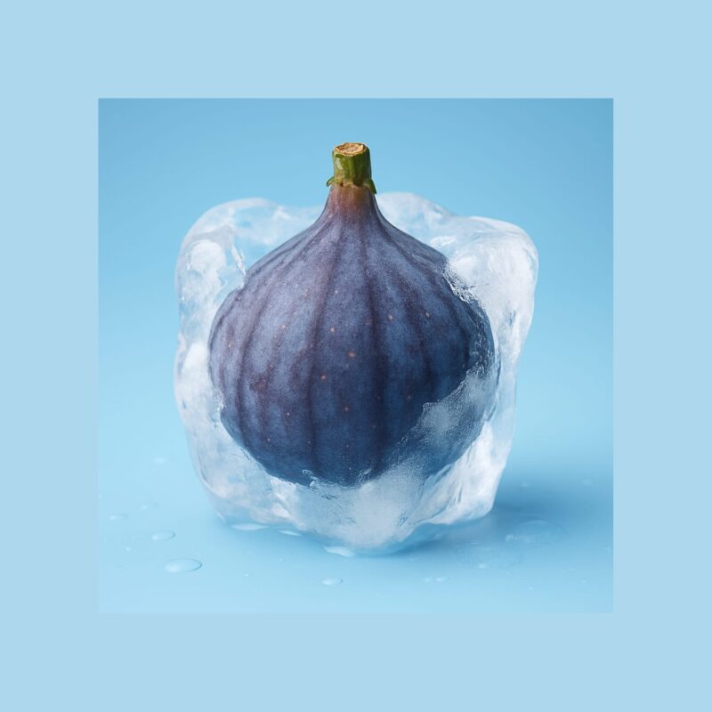 Fig