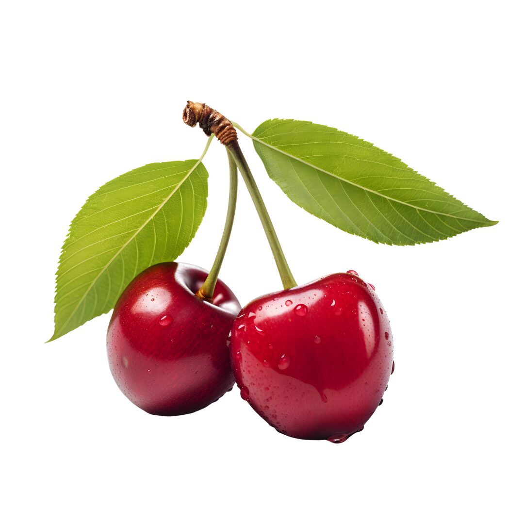 Fresh Cherry from Morocco