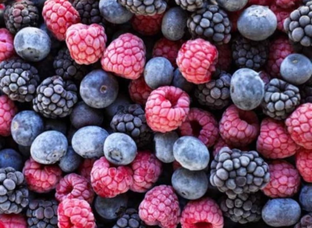 IQF Frozen Fruits from Morocco – Fruilég Fresh