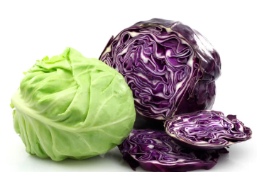 Cabbage