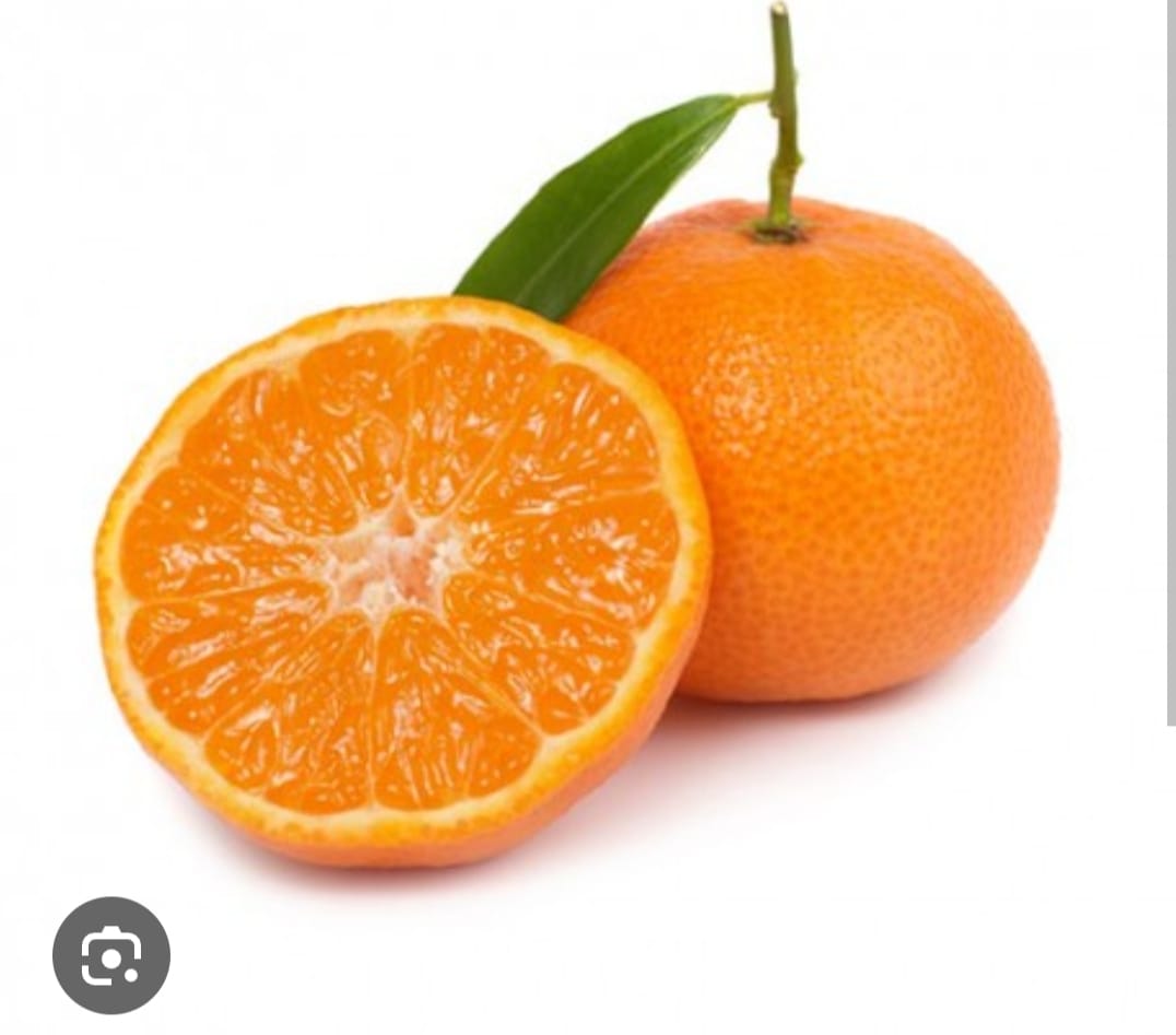 Clementine Morocco